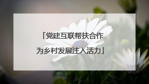 党建互联帮扶合作 为乡村发展注入活力