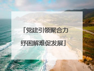 党建引领聚合力 纾困解难促发展