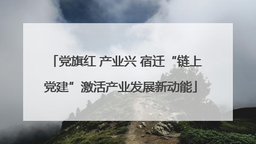 党旗红 产业兴 宿迁“链上党建”激活产业发展新动能