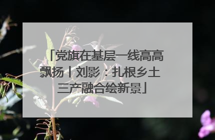 党旗在基层一线高高飘扬丨刘影：扎根乡土 三产融合绘新景