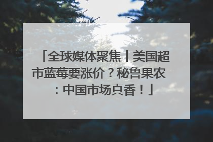 全球媒体聚焦丨美国超市蓝莓要涨价？秘鲁果农：中国市场真香！
