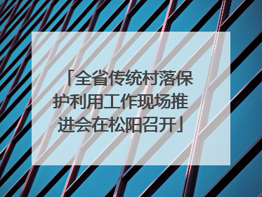 全省传统村落保护利用工作现场推进会在松阳召开