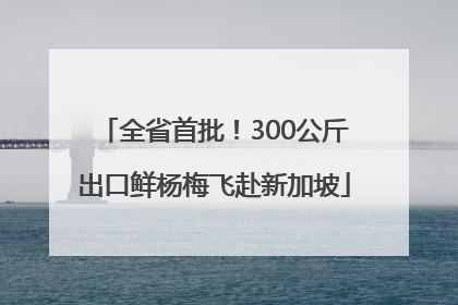 全省首批！300公斤出口鲜杨梅飞赴新加坡