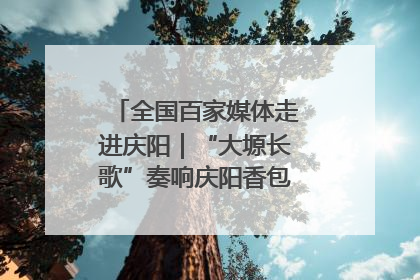全国百家媒体走进庆阳｜“大塬长歌”奏响庆阳香包民俗文化节序曲