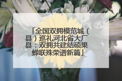 全国双拥模范城（县）巡礼河北省大厂县：双拥共建结硕果 蝉联殊荣谱新篇