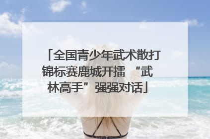 全国青少年武术散打锦标赛鹿城开擂 “武林高手”强强对话