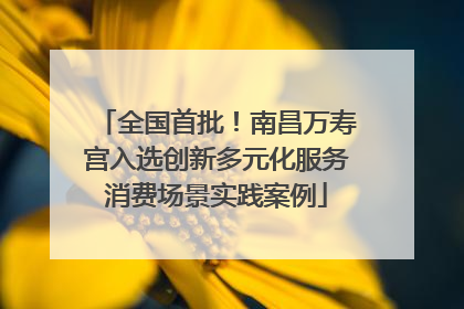 全国首批！南昌万寿宫入选创新多元化服务消费场景实践案例