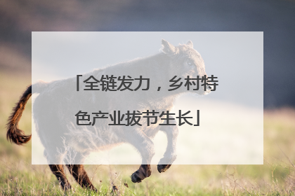 全链发力，乡村特色产业拔节生长
