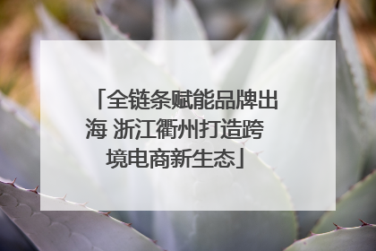 全链条赋能品牌出海 浙江衢州打造跨境电商新生态