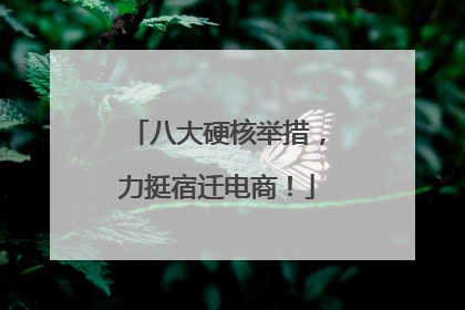 八大硬核举措，力挺宿迁电商！