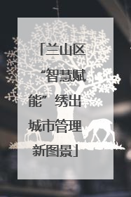 兰山区“智慧赋能”绣出城市管理新图景