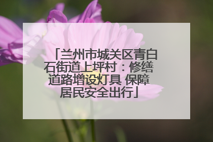 兰州市城关区青白石街道上坪村：修缮道路增设灯具 保障居民安全出行