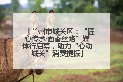 兰州市城关区：“匠心传承·面香丝路”媒体行启幕，助力“心动城关”消费提振