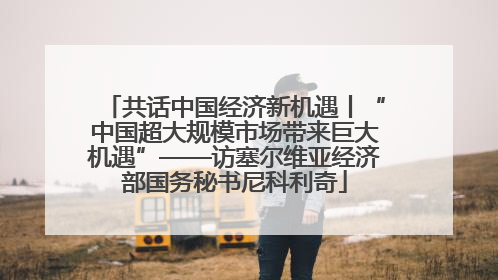 共话中国经济新机遇丨“中国超大规模市场带来巨大机遇”——访塞尔维亚经济部国务秘书尼科利奇