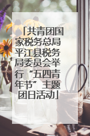 共青团国家税务总局平江县税务局委员会举行“五四青年节”主题团日活动