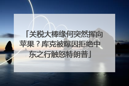 关税大棒缘何突然挥向苹果？库克被曝因拒绝中东之行触怒特朗普