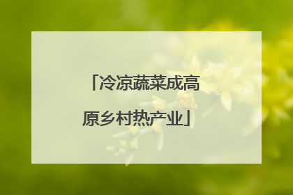 冷凉蔬菜成高原乡村热产业