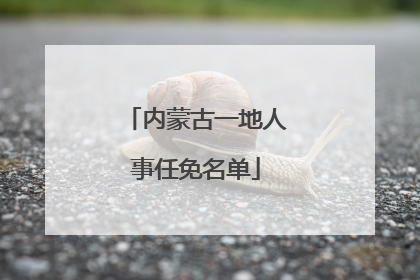 内蒙古一地人事任免名单