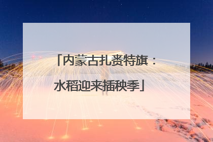内蒙古扎赉特旗：水稻迎来插秧季