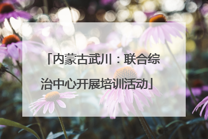 内蒙古武川：联合综治中心开展培训活动