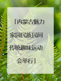 内蒙古魅力家园民族民间传统趣味运动会举行
