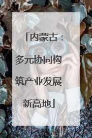 内蒙古：多元协同构筑产业发展新高地