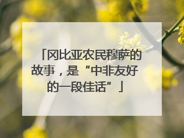 冈比亚农民穆萨的故事，是“中非友好的一段佳话”