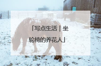 写点生活｜坐轮椅的养花人