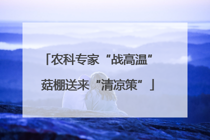 农科专家“战高温” 菇棚送来“清凉策”