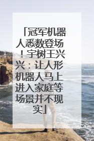 冠军机器人悉数登场！宇树王兴兴：让人形机器人马上进入家庭等场景并不现实