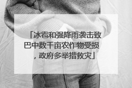 冰雹和强降雨袭击致巴中数千亩农作物受损，政府多举措救灾