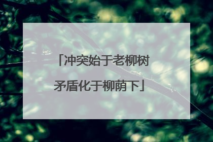 冲突始于老柳树 矛盾化于柳荫下