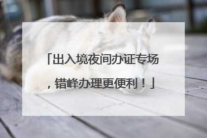 出入境夜间办证专场，错峰办理更便利！
