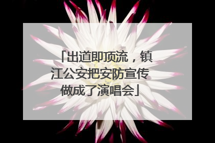 出道即顶流，镇江公安把安防宣传做成了演唱会