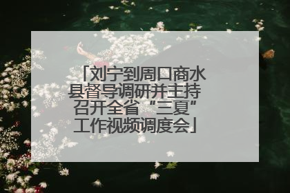 刘宁到周口商水县督导调研并主持召开全省“三夏”工作视频调度会