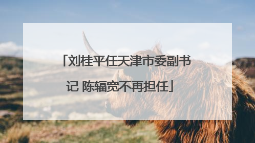 刘桂平任天津市委副书记 陈辐宽不再担任