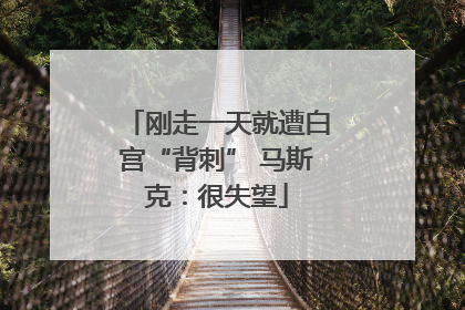 刚走一天就遭白宫“背刺” 马斯克：很失望