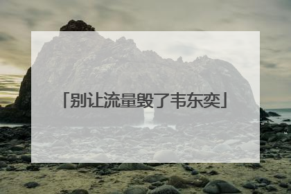 别让流量毁了韦东奕