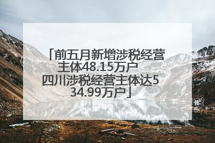 前五月新增涉税经营主体48.15万户 四川涉税经营主体达534.99万户