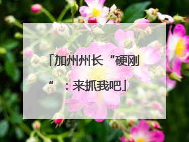 加州州长“硬刚”：来抓我吧