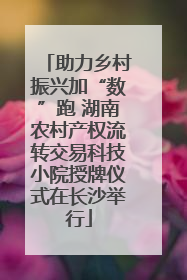 助力乡村振兴加“数”跑 湖南农村产权流转交易科技小院授牌仪式在长沙举行