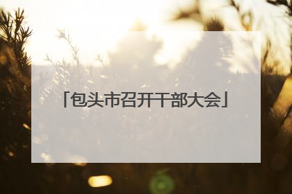 包头市召开干部大会