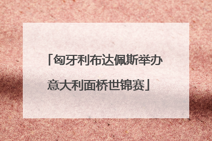 匈牙利布达佩斯举办意大利面桥世锦赛
