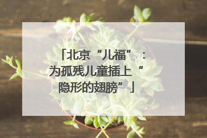 北京“儿福”：为孤残儿童插上“隐形的翅膀”