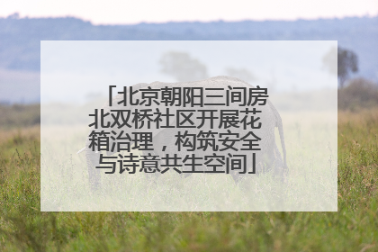 北京朝阳三间房北双桥社区开展花箱治理，构筑安全与诗意共生空间
