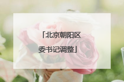 北京朝阳区委书记调整