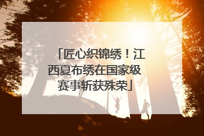 匠心织锦绣！江西夏布绣在国家级赛事斩获殊荣