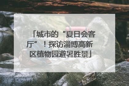 城市的“夏日会客厅”！探访淄博高新区植物园避暑胜景