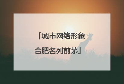 城市网络形象合肥名列前茅