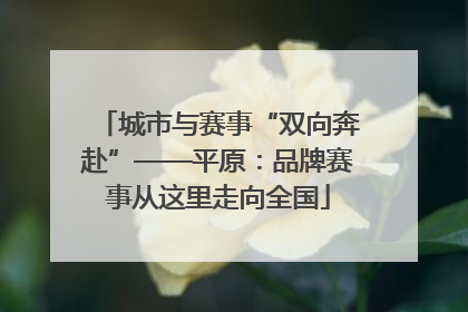 城市与赛事“双向奔赴”——平原：品牌赛事从这里走向全国